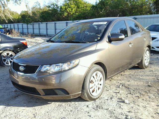 KNAFU4A28A5854421 - 2010 KIA FORTE EX BROWN photo 2