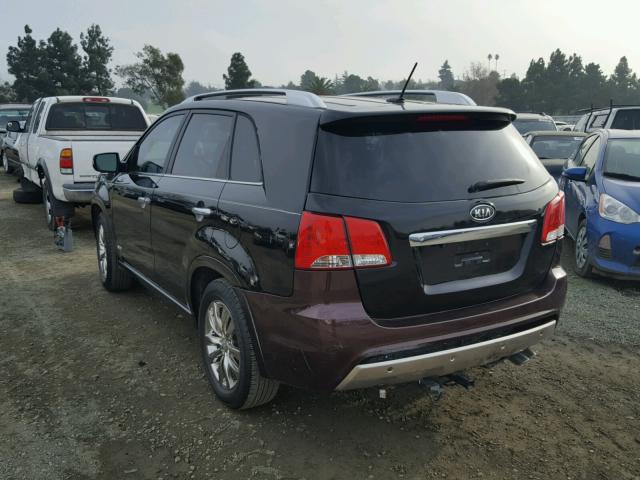 5XYKWDA2XBG101462 - 2011 KIA SORENTO SX BLACK photo 3