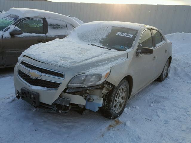 1G11A5SA9DF317274 - 2013 CHEVROLET MALIBU LS 金色 照片 2