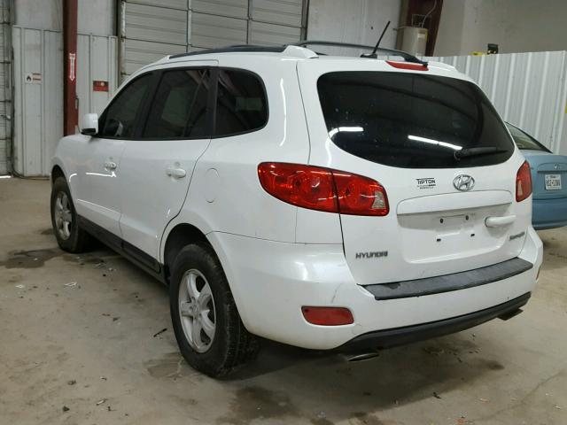 5NMSG13D07H095291 - 2007 HYUNDAI SANTA FE G WHITE photo 3