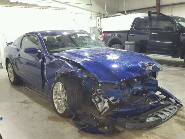 1ZVBP8AM0E5316462 - 2014 FORD MUSTANG BLUE photo 1