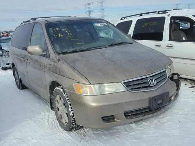 5FNRL18713B062034 - 2003 HONDA ODYSSEY EX GOLD photo 1