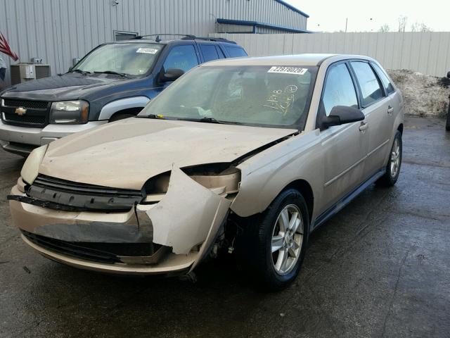 1G1ZT62895F146575 - 2005 CHEVROLET MALIBU MAX TAN photo 2