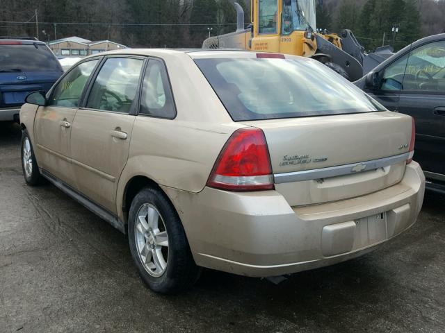 1G1ZT62895F146575 - 2005 CHEVROLET MALIBU MAX TAN photo 3