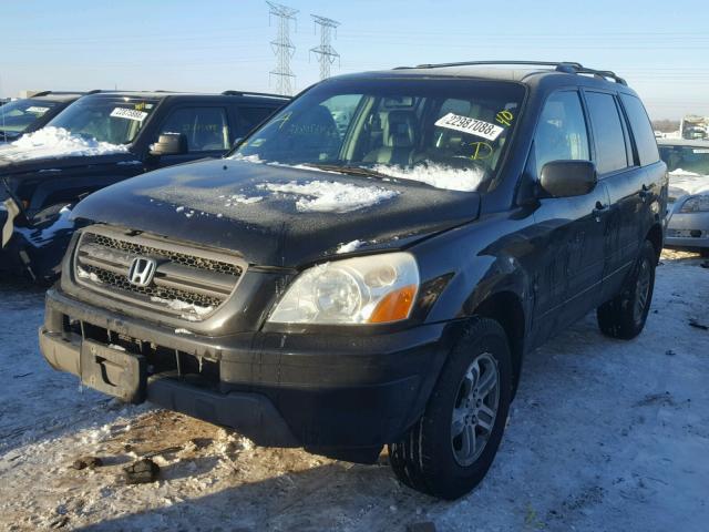 5FNYF18624B003327 - 2004 HONDA PILOT EXL BLACK photo 2