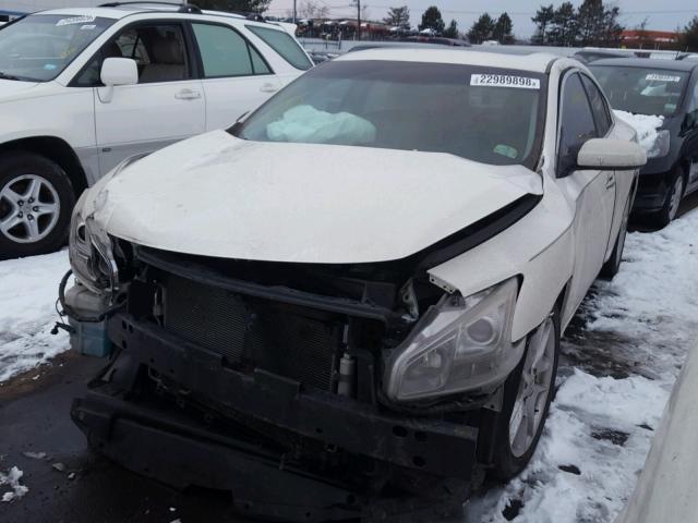 1N4AA5AP1BC862919 - 2011 NISSAN MAXIMA S WHITE photo 2