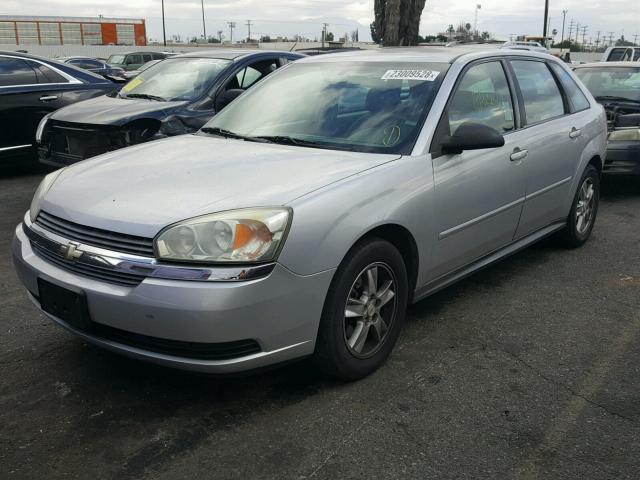 1G1ZT64835F244756 - 2005 CHEVROLET MALIBU MAX SILVER photo 2