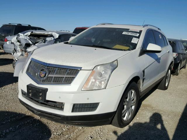 3GYFNDEY9BS518308 - 2011 CADILLAC SRX LUXURY WHITE photo 2