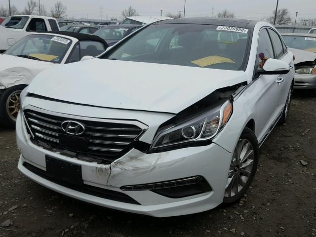 5NPE34AF7FH089536 - 2015 HYUNDAI SONATA SPO WHITE photo 2