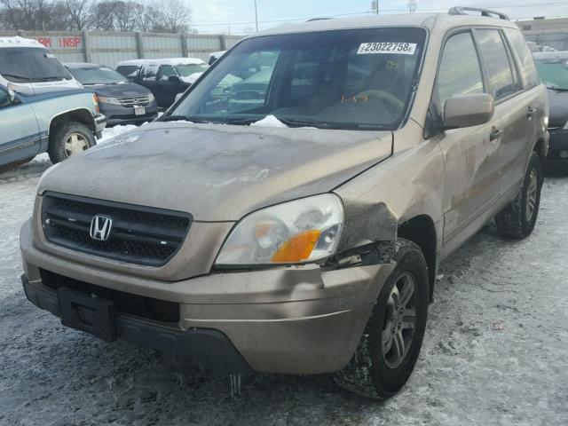 2HKYF18514H540067 - 2004 HONDA PILOT EXL TAN photo 2