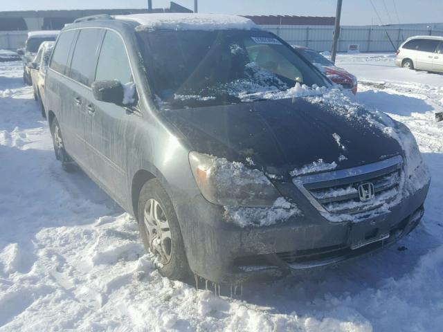 5FNRL38715B093069 - 2005 HONDA ODYSSEY EX GRAY photo 1