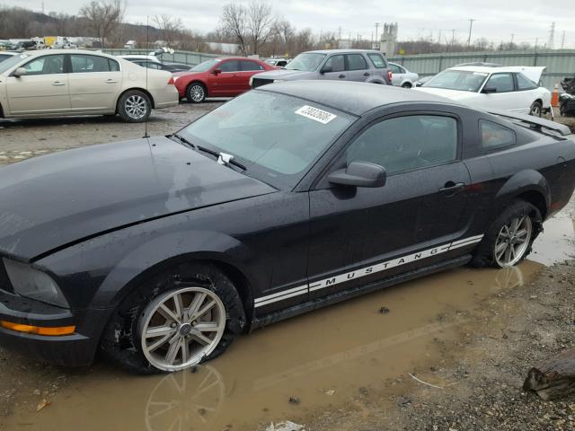 1ZVFT80N355221319 - 2005 FORD MUSTANG BLACK photo 9