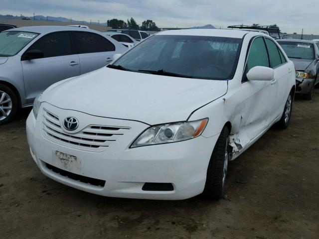 4T4BE46K68R031527 - 2008 TOYOTA CAMRY CE WHITE photo 2