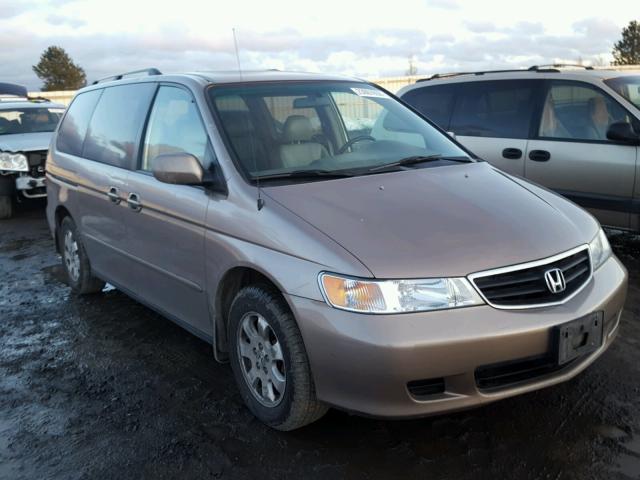 5FNRL18994B051334 - 2004 HONDA ODYSSEY EX BROWN photo 1