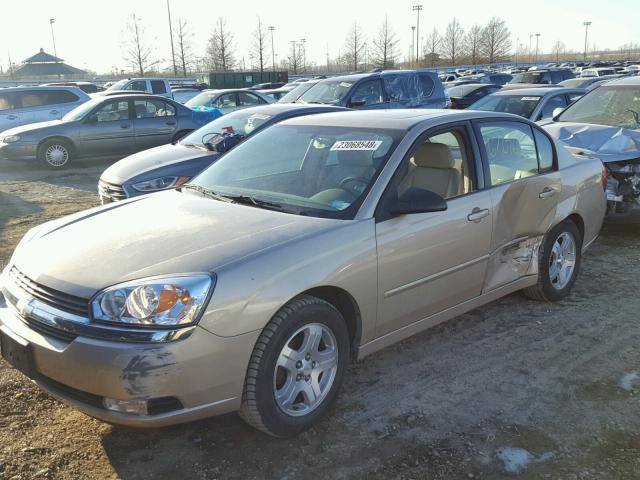 1G1ZU54864F196725 - 2004 CHEVROLET MALIBU LT BEIGE photo 9