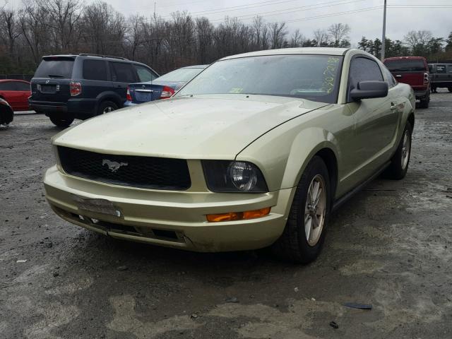 1ZVFT80N165221840 - 2006 FORD MUSTANG GREEN photo 2