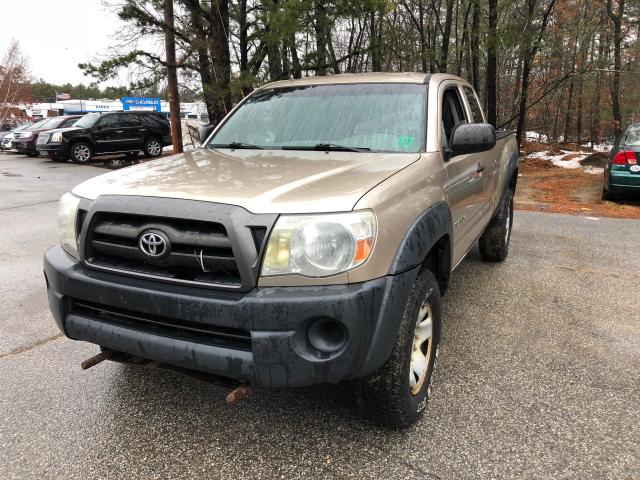 5TEUX42N45Z067818 - 2005 TOYOTA TACOMA ACC BEIGE photo 2