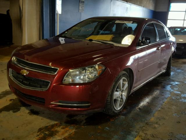 1G1ZC5E14BF314031 - 2011 CHEVROLET MALIBU 1LT RED photo 2