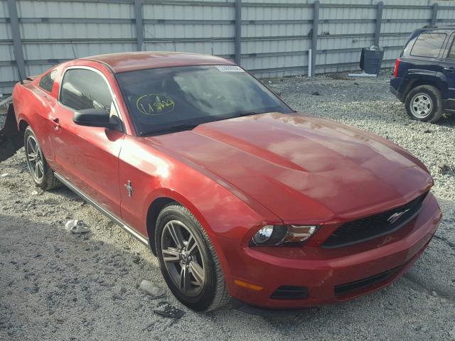 1ZVBP8AN5A5172328 - 2010 FORD MUSTANG RED photo 1