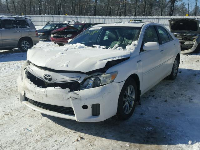 4T1BB3EK4AU123983 - 2010 TOYOTA CAMRY HYBR WHITE photo 2