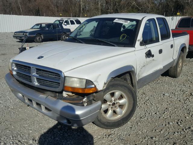 1D7HL48X43S184229 - 2003 DODGE DAKOTA QUA WHITE photo 2