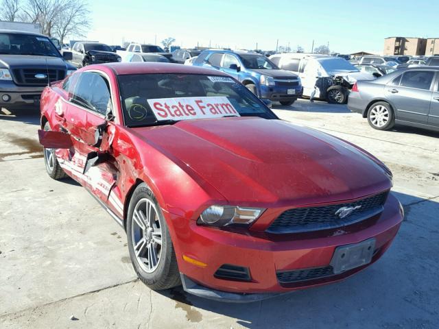 1ZVBP8AM8C5226683 - 2012 FORD MUSTANG RED photo 1