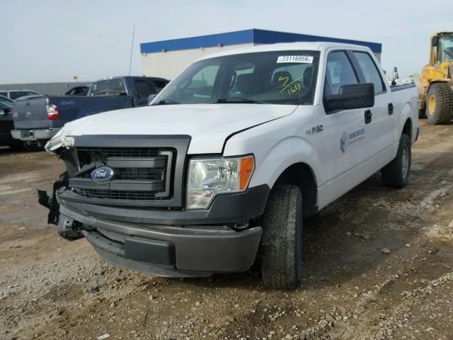 1FTEW1CM5DFB81611 - 2013 FORD F150 SUPER WHITE photo 2