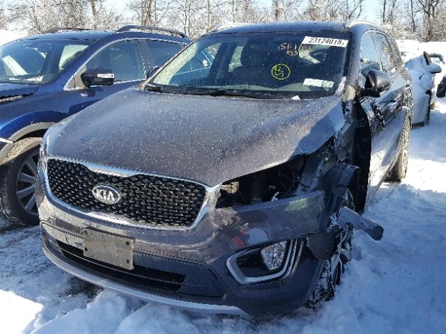 5XYPHDA56GG008469 - 2016 KIA SORENTO EX GRAY photo 2