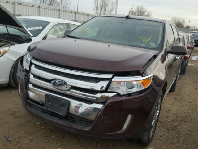 2FMDK4JC6CBA62609 - 2012 FORD EDGE SEL PURPLE photo 2