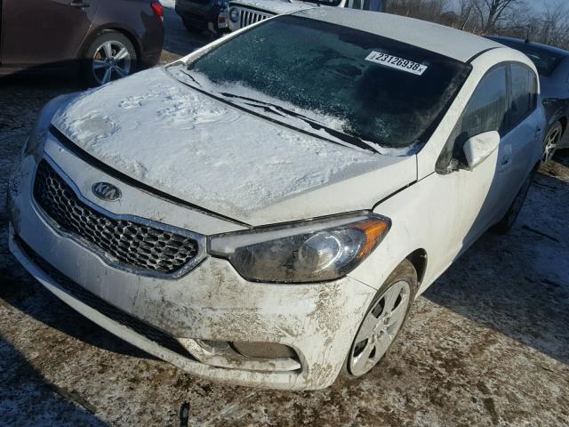 KNAFK5A8XG5659588 - 2016 KIA FORTE LX WHITE photo 2