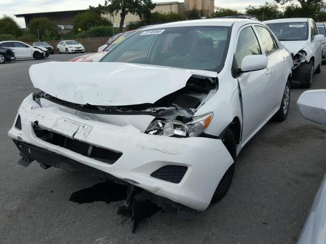 1NXBU4EE2AZ301108 - 2010 TOYOTA COROLLA BA WHITE photo 2