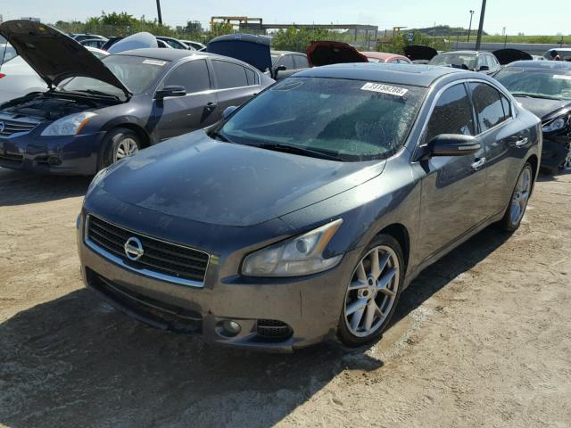 1N4AA5AP0BC809323 - 2011 NISSAN MAXIMA S GRAY photo 2