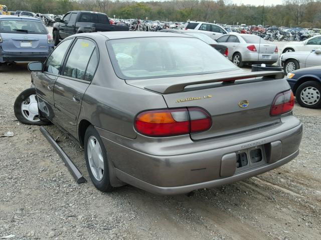1G1NE52J8Y6200202 - 2000 CHEVROLET MALIBU LS Qəhvəyi foto 3