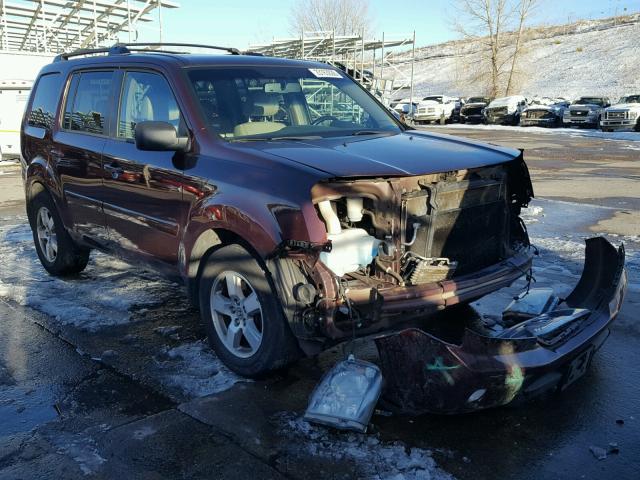 5FNYF4H53BB026461 - 2011 HONDA PILOT EXL MAROON photo 1