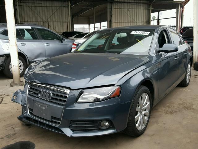 WAUFFAFL3BN026661 - 2011 AUDI A4 PREMIUM BLUE photo 2