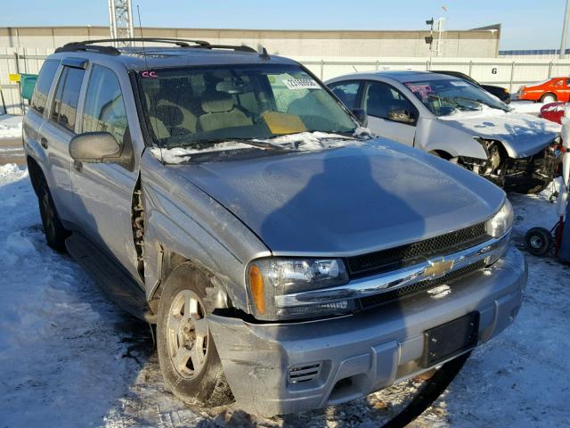 1GNDT13S062130571 - 2006 CHEVROLET TRAILBLAZE SILVER photo 1