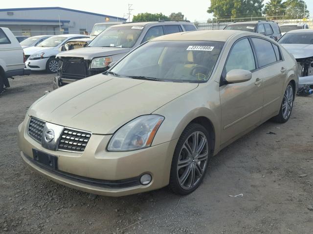 1N4BA41E04C840233 - 2004 NISSAN MAXIMA SE GOLD photo 2