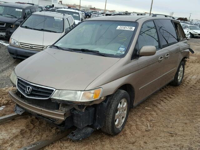 5FNRL18674B013039 - 2004 HONDA ODYSSEY EX GOLD photo 2