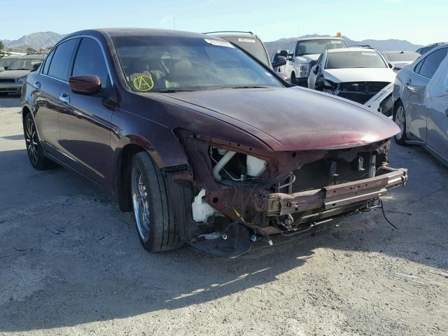 1HGCP36859A040249 - 2009 HONDA ACCORD EXL BURGUNDY photo 1