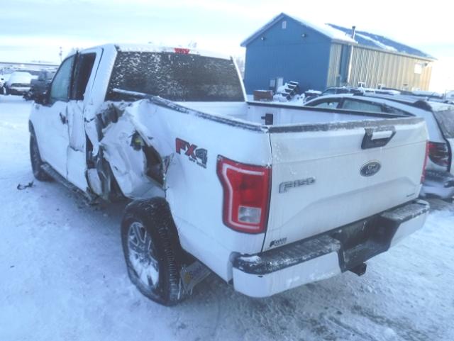 1FTFX1EF6FFB70622 - 2015 FORD F150 SUPER WHITE photo 3