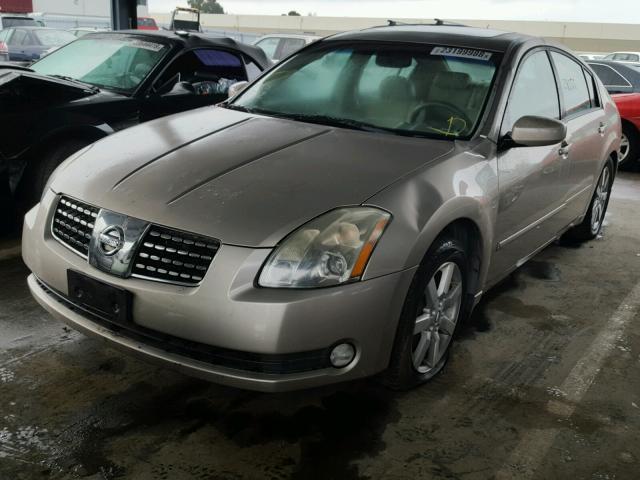 1N4BA41EX6C808893 - 2006 NISSAN MAXIMA SE TAN photo 2