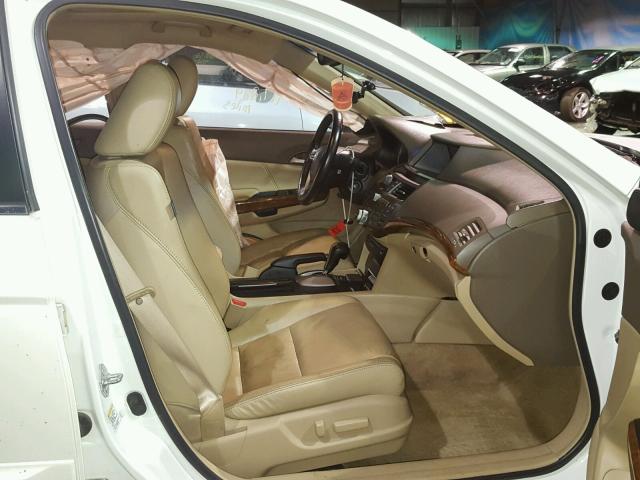 1HGCP36819A010004 - 2009 HONDA ACCORD EXL WHITE photo 5