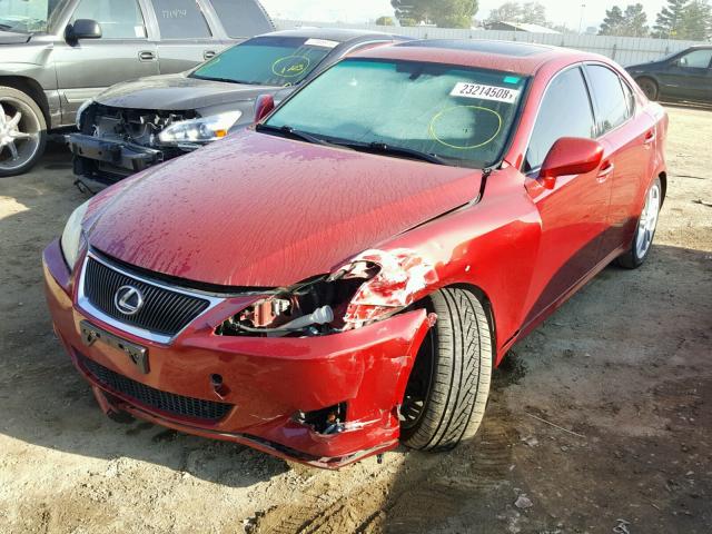 JTHBK262775049523 - 2007 LEXUS IS 250 RED photo 2