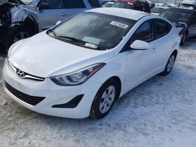 5NPDH4AE2GH788000 - 2016 HYUNDAI ELANTRA SE WHITE photo 2