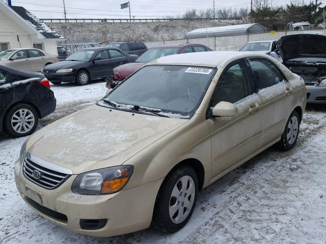 KNAFE221595653756 - 2009 KIA SPECTRA EX GOLD photo 2