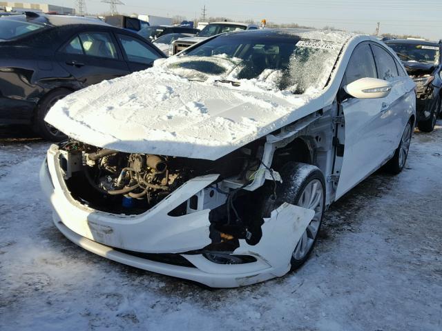 5NPEC4AB3DH539516 - 2013 HYUNDAI SONATA SE WHITE photo 2