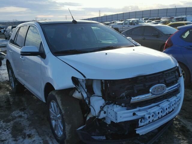 2FMDK4JC2EBA06315 - 2014 FORD EDGE SEL WHITE photo 1