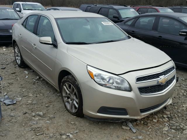 1G11C5SA0DF300275 - 2013 CHEVROLET MALIBU 1LT 米色 照片 1