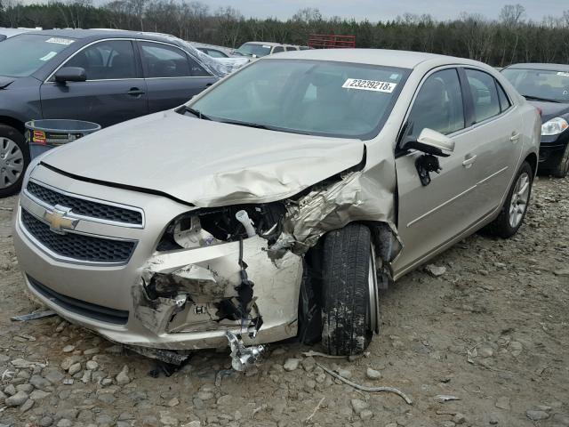 1G11C5SA0DF300275 - 2013 CHEVROLET MALIBU 1LT BEIGE photo 2