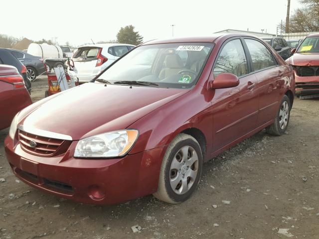 KNAFE122665346546 - 2006 KIA NEW SPECTR BURGUNDY photo 2